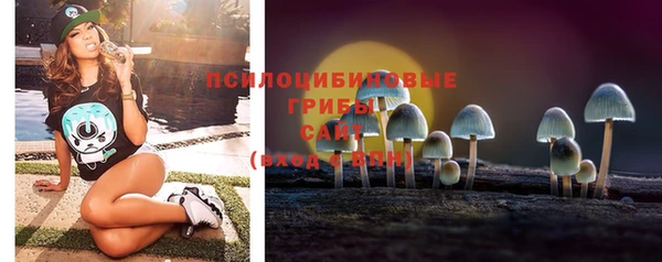 прущий лед Алексеевка