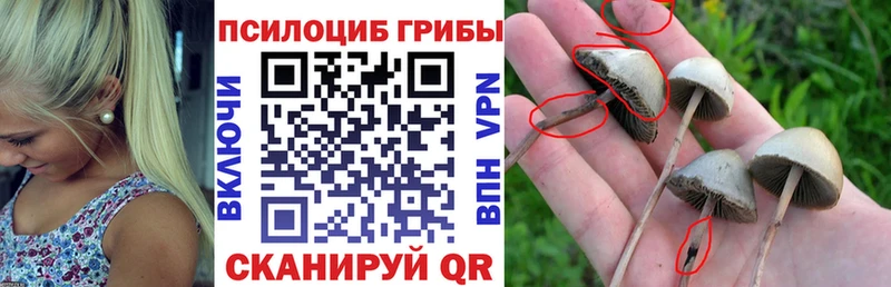 shop клад  Поронайск  Псилоцибиновые грибы Cubensis 